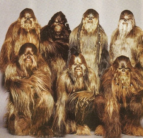 star wars wookie family