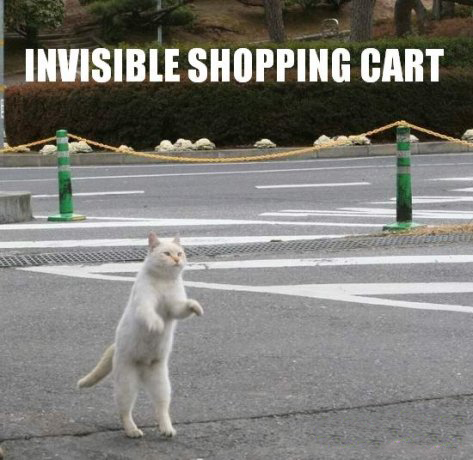 cat invisible shopping cart