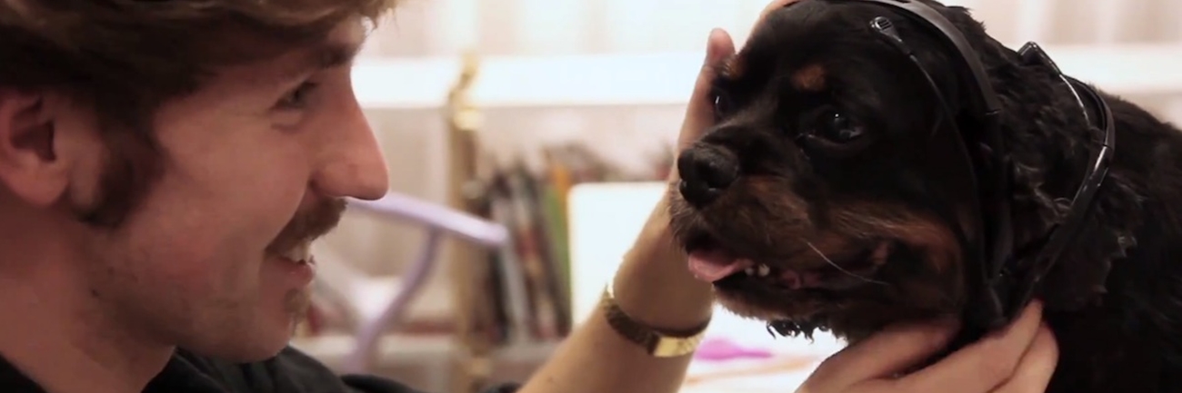 Translate What Your Dog is Thinking with No More Woof Translate What Your Dog is Thinking with No More Woof