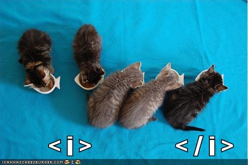 funny pictures italic kittens code